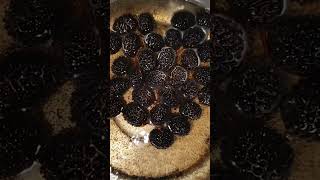 Le llaman "Guásimo o Caulote " excelente planta 👌🏼