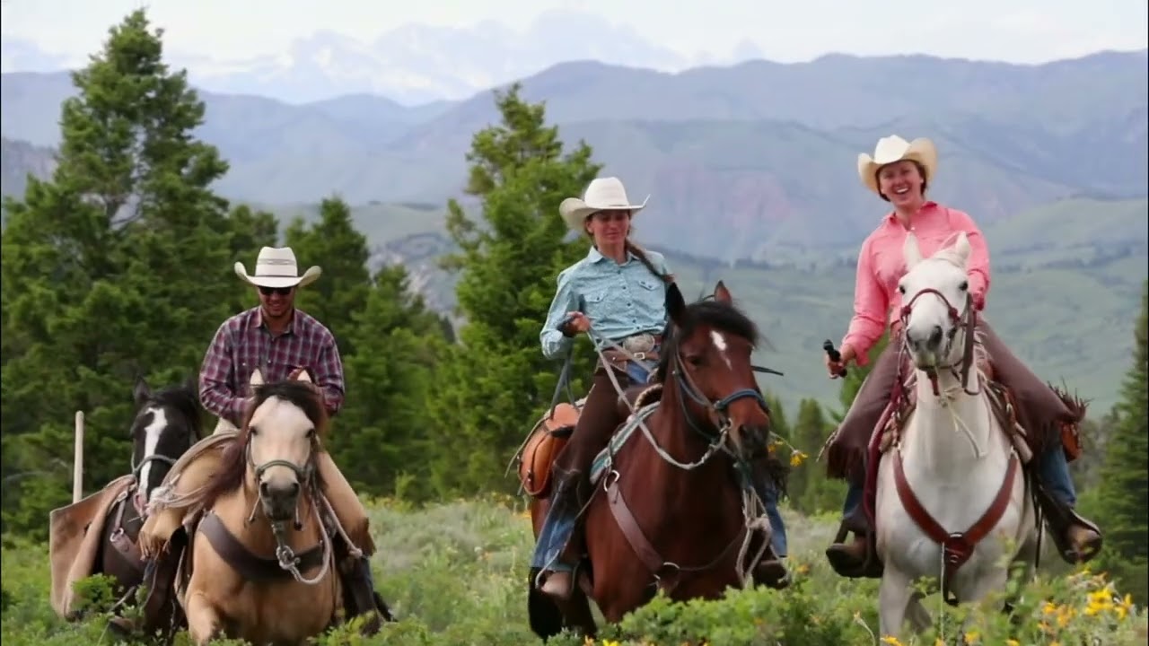 Experience Willow Creek's Best Trails #shorts