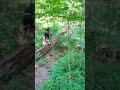 The Hardest Hike I've Ever Experienced