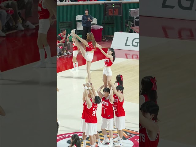 Sk나이츠 스턴트치어리딩 #스턴트치어리딩 #치어리더 #cheerleader