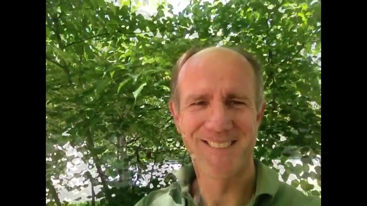 Effective Link Building Strategies