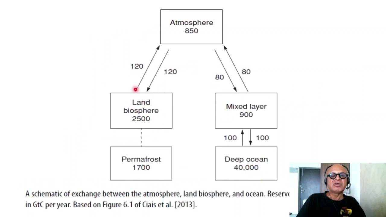 3   Carbon Pools and Fluxes at Lonng and Short Timescales