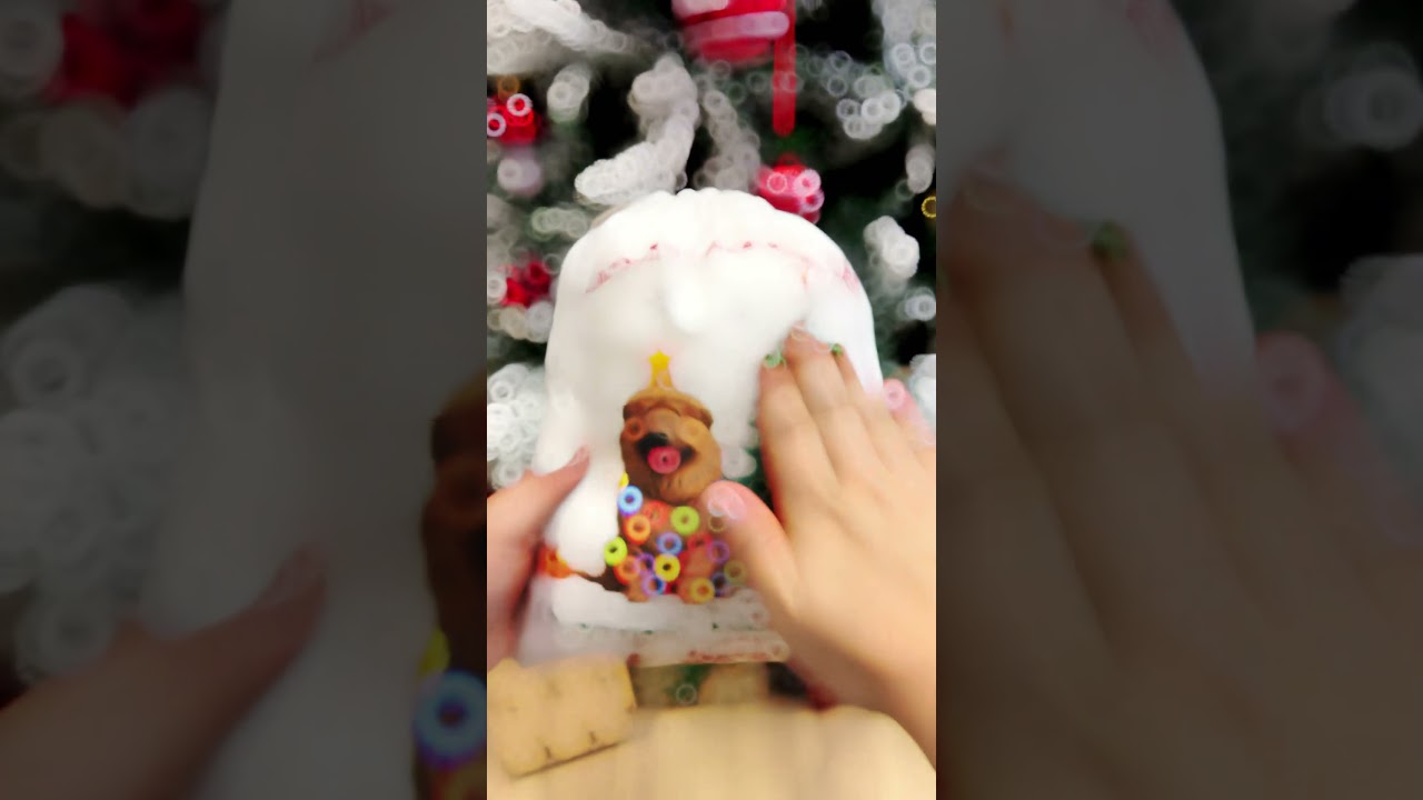 Festive dog lover favor bag, perfect for holiday gifting 