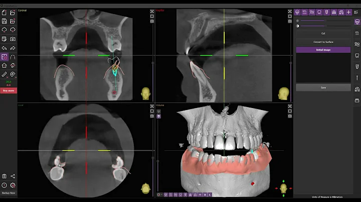 Interface & Navigation (Updated)