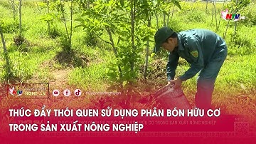 Thúc đẩy thói quen sử dụng phân bón hữu cơ trong sản xuất nông nghiệp