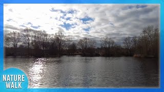 This gorgeous day is perfect for a relaxing walk by the lake (Nature Visualizer)