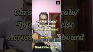 Chromatic Scale/ Spider Exercise across the Guitar fretboard for Beginners | Tutorial Video by VMS