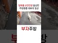 일매출 2천만원 달성한 주방용품 대표의 일상