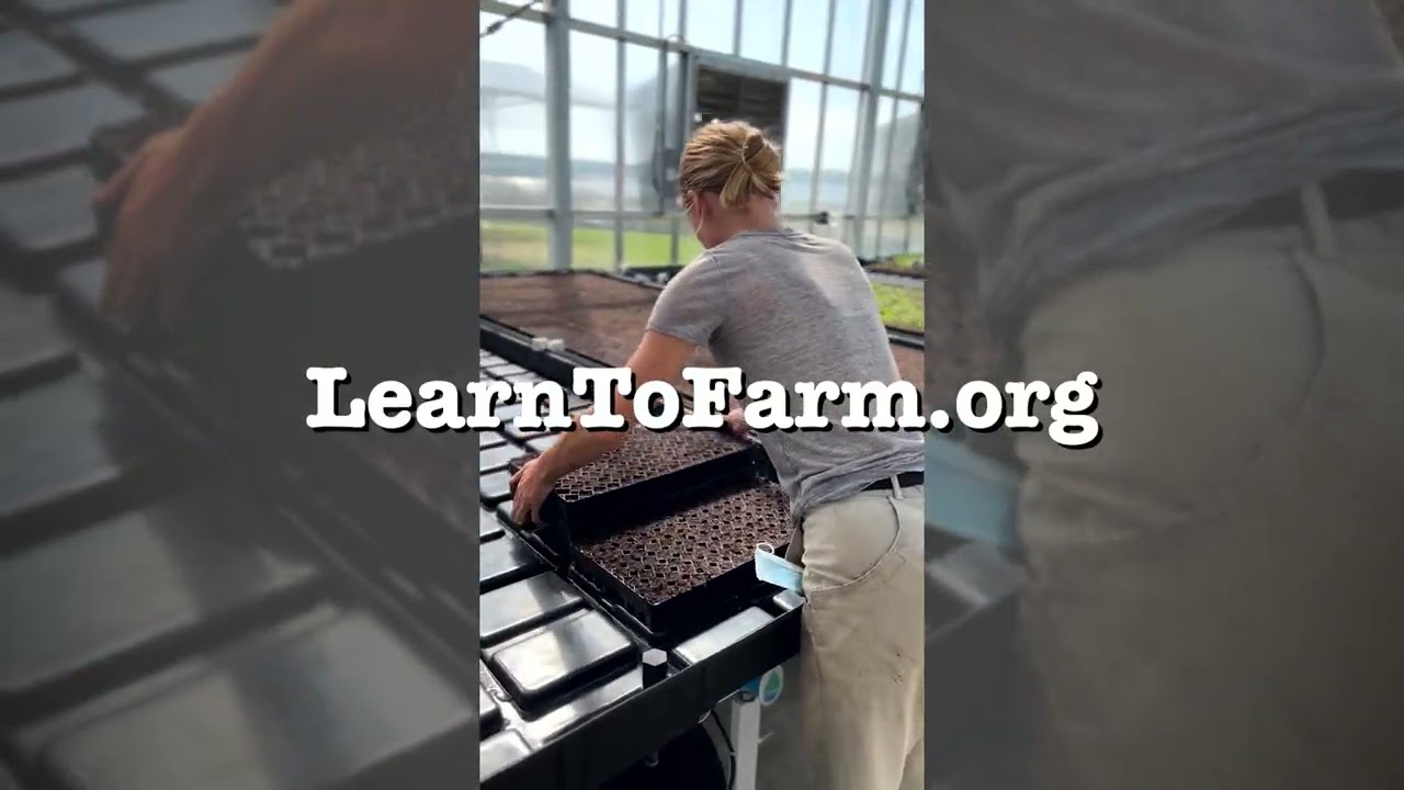 Learn to Farm at CAFF