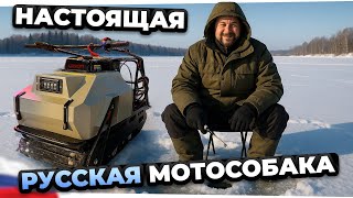 видео: IceDog 500 Lux - ОБЗОР универсального мотобуксировщика. Стоит ли брать? картинка: IceDog 500 Lux - ОБЗОР универсального мотобуксировщика. Стоит ли брать?