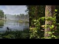 Ultra Realistic Forest Biome - Unreal Engine 5 - RTX 3090 - 4K