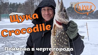 Гигантская щука в черте города! Зимняя жерлица Monster Pike Caught in the City! Epic Ice Fishing!