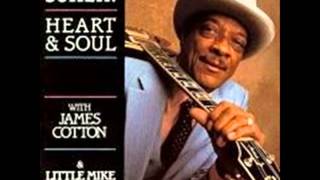 HUBERT SUMLIN (Greenwood ,Mississippi U.S.A) - Got The Blues