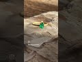 Video: Gold Ring with  Emerald
