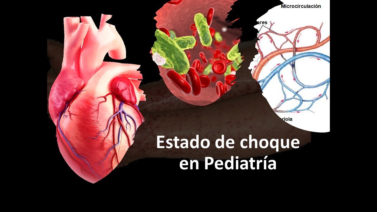 On ne meurt pas : la nouvelle vie de mon père, médecin de l'âme : récit intime main image 1
