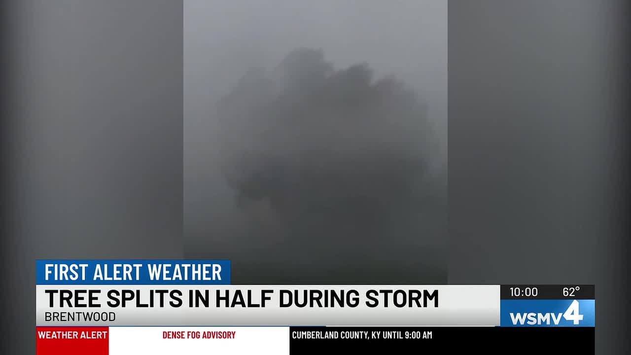 Storms bring heavy rain and wind to the Midstate - YouTube