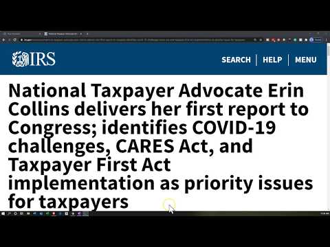 national-taxpayer-advocate-erin-collins-delivers-her-first-report-to-congress
