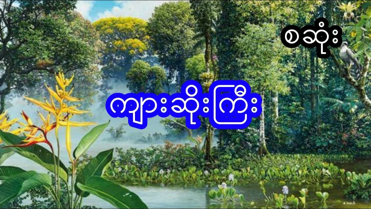 ကိုပိုက် ပစ်တဲ့ ကျားဆိုးကြီး - စဆုံး