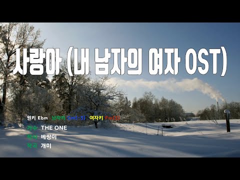 [은성 반주기] 사랑아(내남자의여자OST) - THE ONE