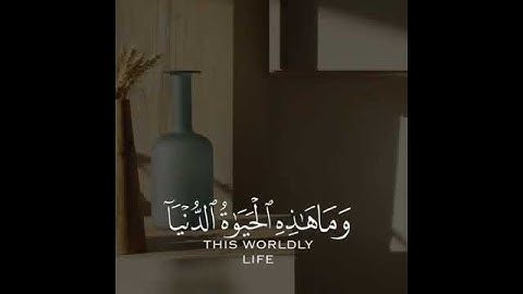 ياسر الدوسري|تلاوة تريح القلوب 🌸❤ حالات واتس اب قرآن 💭💗
