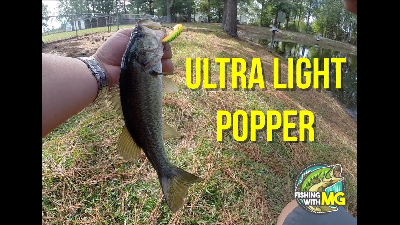 Ultra Light Topwater Popper by Rapala, Quick Pond Bass Fishing
