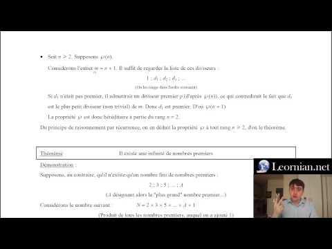 Vídeo: Quines són les 9 bases prohibides de la Regla B?