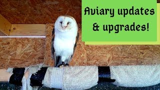 Updates & upgrades to the aviary since we got back from vacation