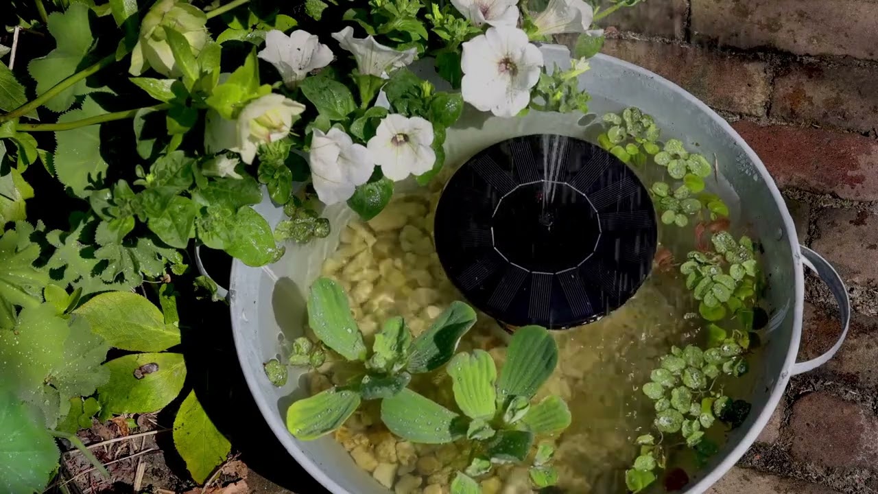 Плавающий фонтан Spruzzo Loconte 16 см на солнечной батарее, 893017, Kaemingk