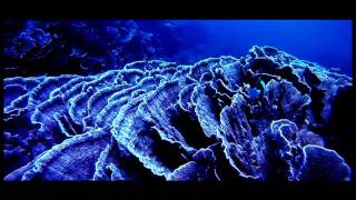 Maks Lamar - Ahora Dj Tarkan Remix -- Nzr