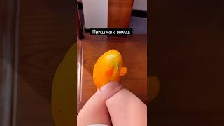 Обувь За 0 Рублей