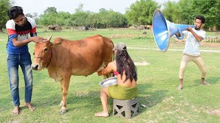 Must Watch New Funny Comedy Video 2021 non-stop video best amazing comedy video/Bindas fun bd