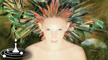 Shulman - OMG | Chill Space