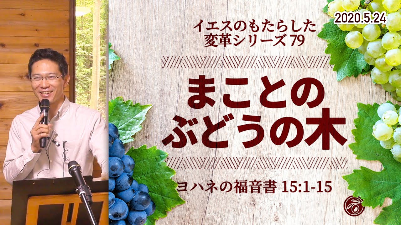 イエスのもたらした変革シリーズ(79) まことのぶどうの木
