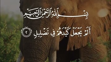 سوره الفيل بصوت خاشع لفضيله الشيخ ماهر المعيقلي