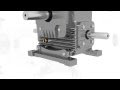 Worm Gearbox, Worm Reduction Gear Box, Worm Speed Reducer and Gear Motor Manufacturer