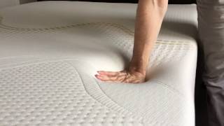 Amerisleep Revere Mattress Firmness and Feel