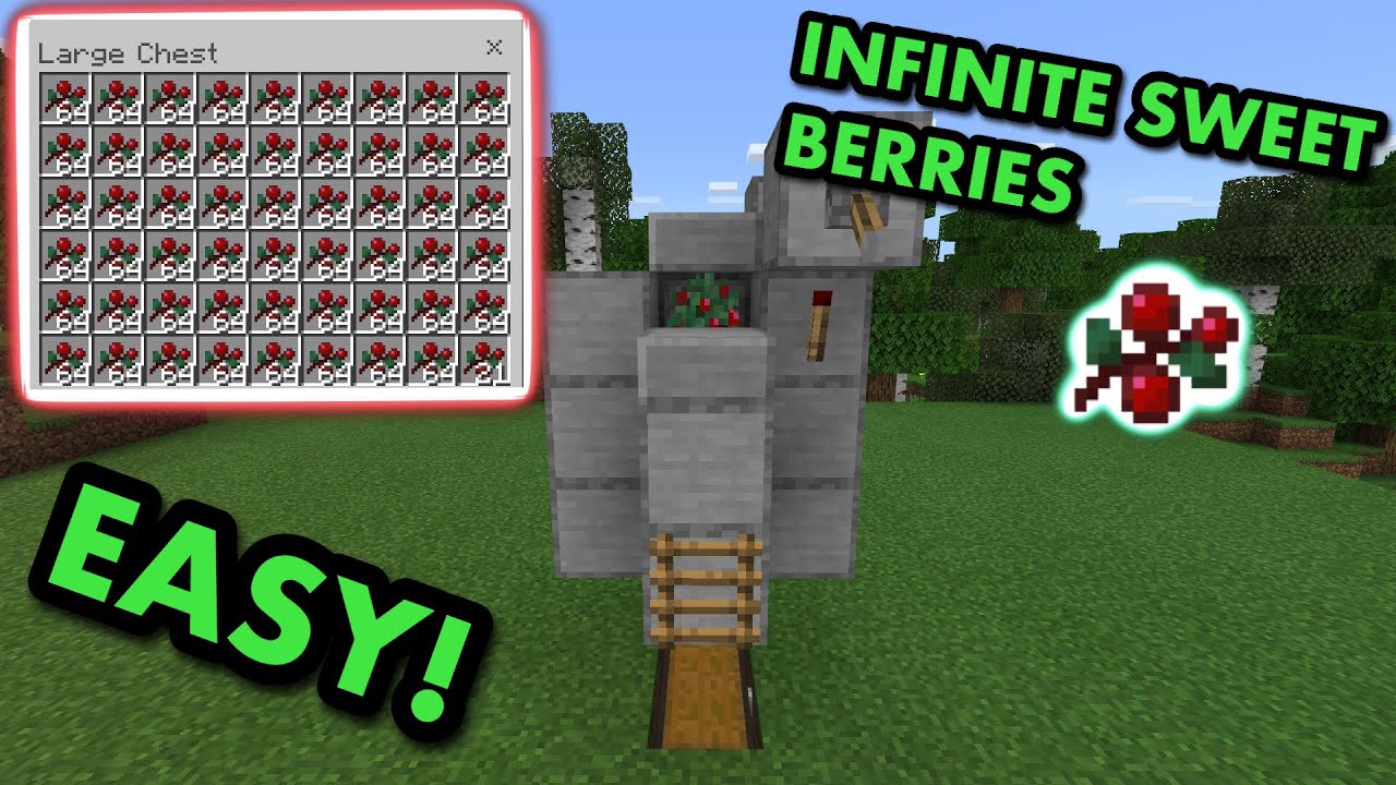 SIMPLE 1.20 AUTOMATIC SWEET BERRY FARM TUTORIAL in Minecraft Bedrock