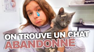 ON A TROUVÉ UN CHAT ABANDONNÉ !