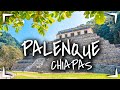 PALENQUE Chiapas & Cascadas de ROBERTO BARRIOS 🔴¿cuánto cuesta? ¿que hay? ► ZONA ARQUEOLÓGICA MAYA