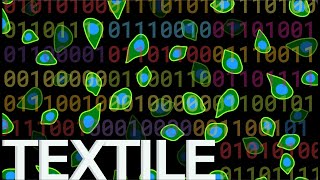 TEXTILE Summer 2023: Data Science Module 1