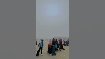 Smog in university of Gujrat #shorts #viral #trending #uog