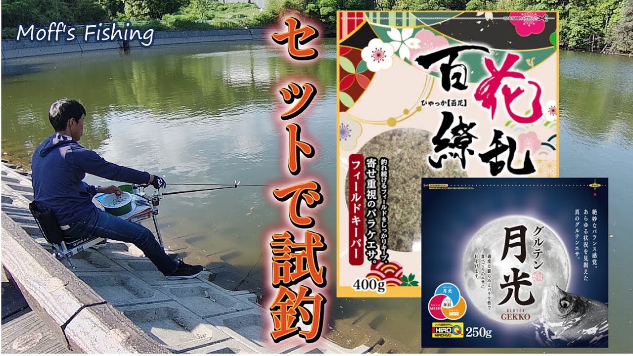 へらぶな釣り セット釣り Youtube
