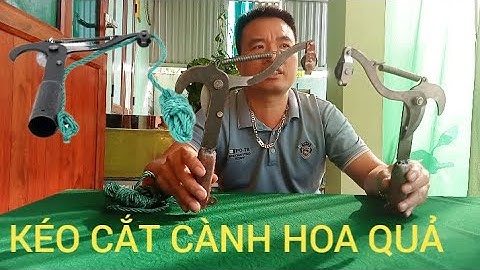 CÂY KÉO CẮT TỈA CÀNH CÂY HÁI HOA QUẢ TRÊN CAO AN TOÀN THUẬN TIỆN CHO MỌI GIA ĐÌNH