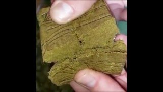 Weedporn #1 -Enjoy!