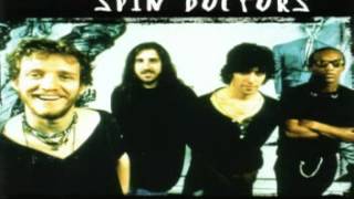 Video thumbnail of "Spin Doctors-Refrigerator Car"