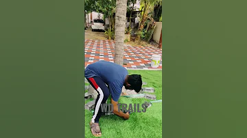 One more upgrade in garden for Rs.1200 ✨ | Interlock art | Grass cutting