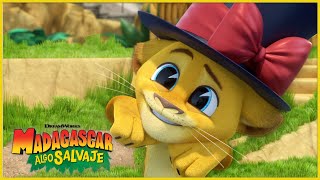 Alex hace magia  | DreamWorks Madagascar en Español Latino