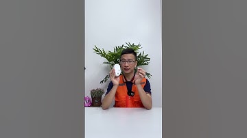 Chuột công thái học Ngon Bổ Rẻ đúng nghĩa #kocnet #kienkiemchung #chuotcongthaihoc