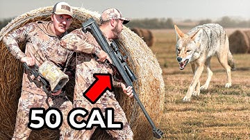 We Hunted Coyotes with a 50 Cal Sniper Rifle! (Again)