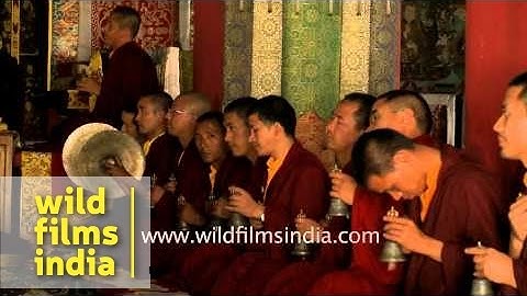 Monks pray to Lord Buddha at the Mindroling Monastery of Dehradun